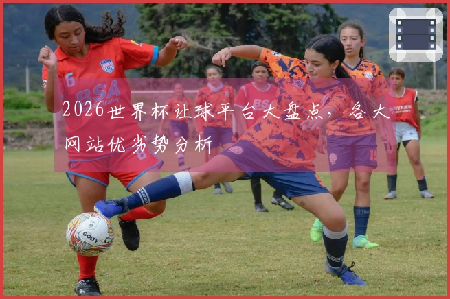 2026世界杯让球平台大盘点，各大网站优劣势分析