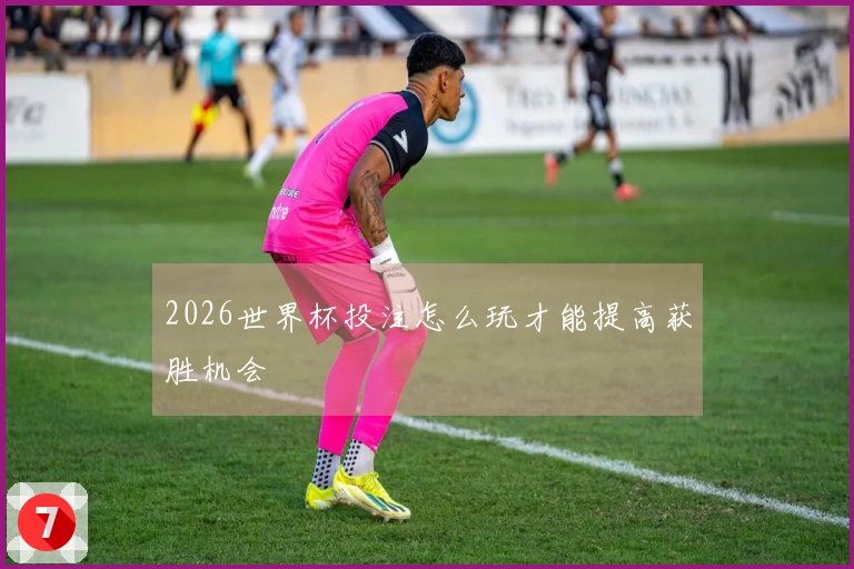 2026世界杯投注怎么玩才能提高获胜机会