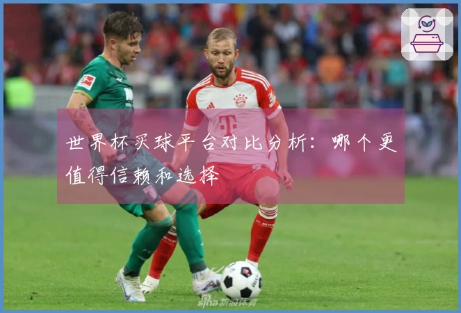 世界杯买球平台对比分析：哪个更值得信赖和选择
