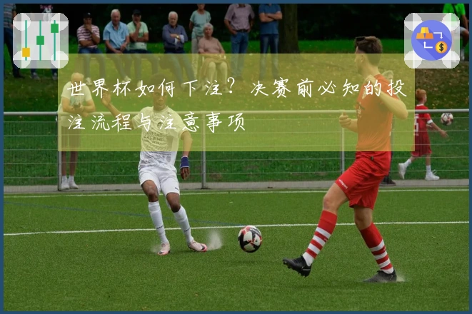 世界杯如何下注？决赛前必知的投注流程与注意事项