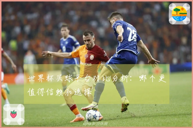 世界杯买球平台对比分析：哪个更值得信赖和选择